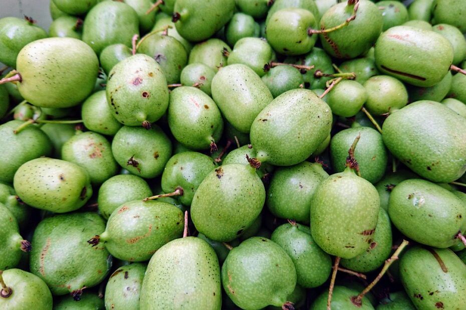 Sekrety minikiwi: Dlaczego warto jeść polską aktinidię tej jesieni?